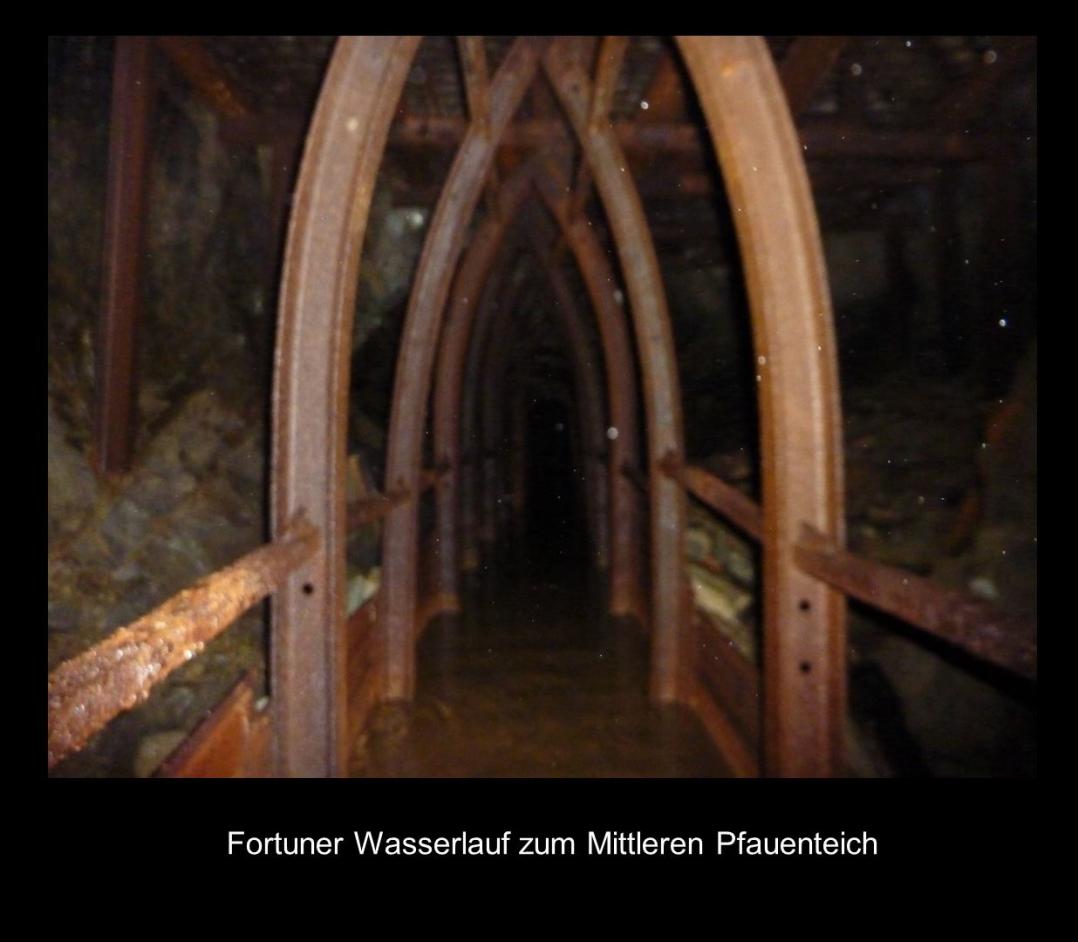 1785: Burgstätter Gangzug,