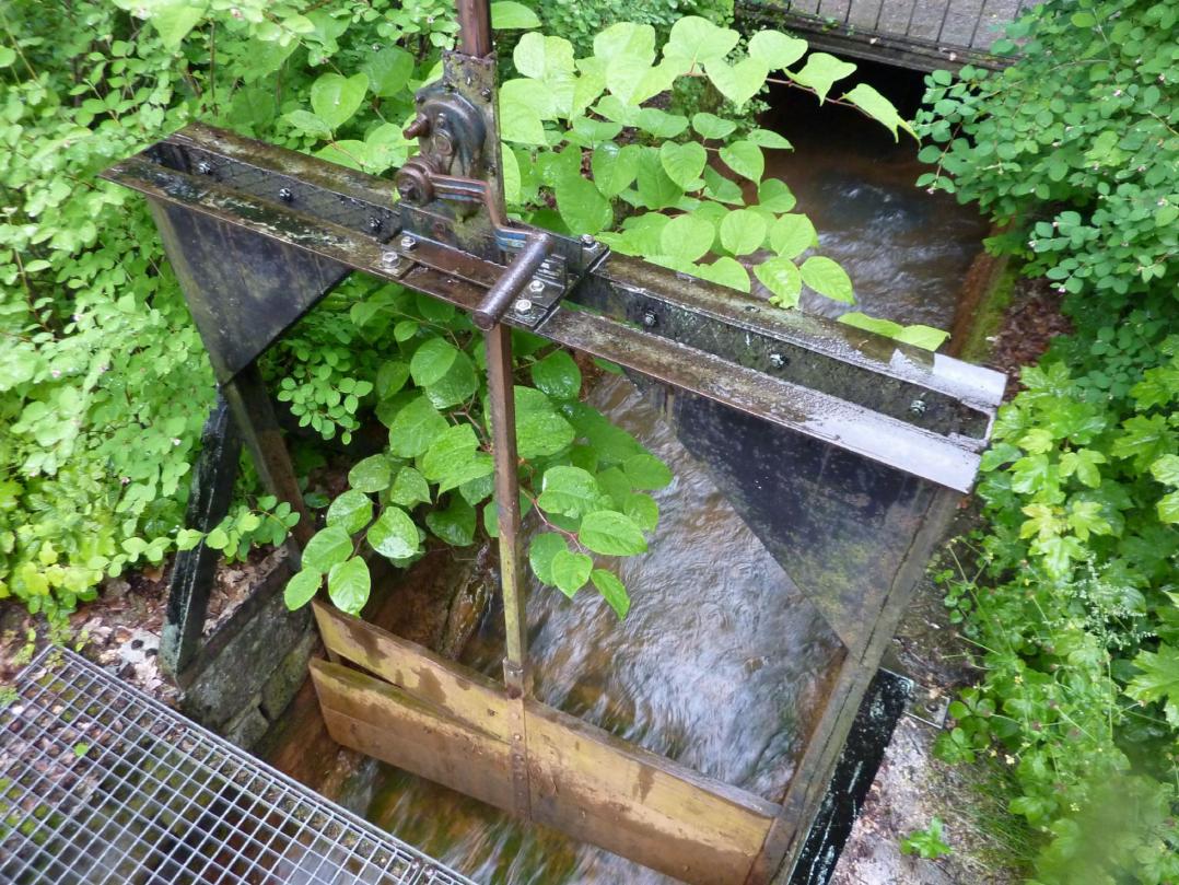 Der "letzte Fehlschlag".