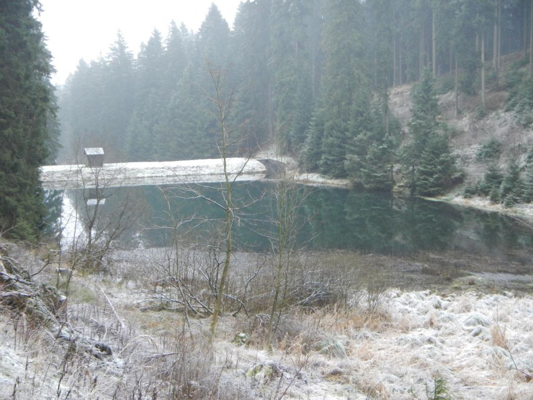 Lange Teich (Tid Lange)