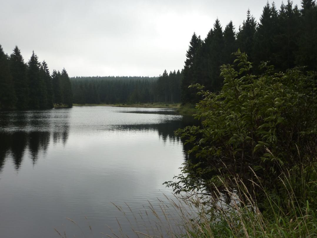 Bärenbrucher Teich.