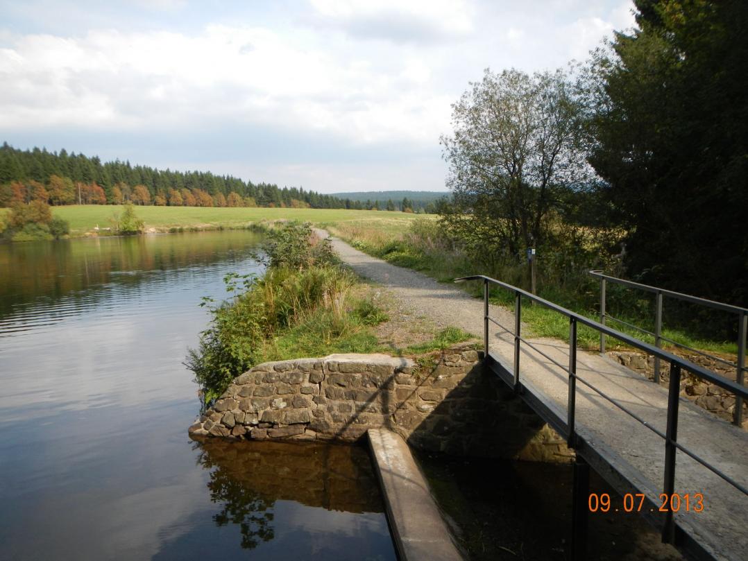 Hasenbacher Teich.