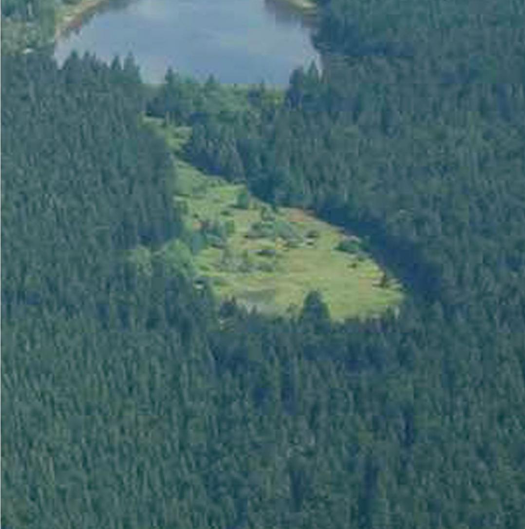 Unterer Nassewieser Teich