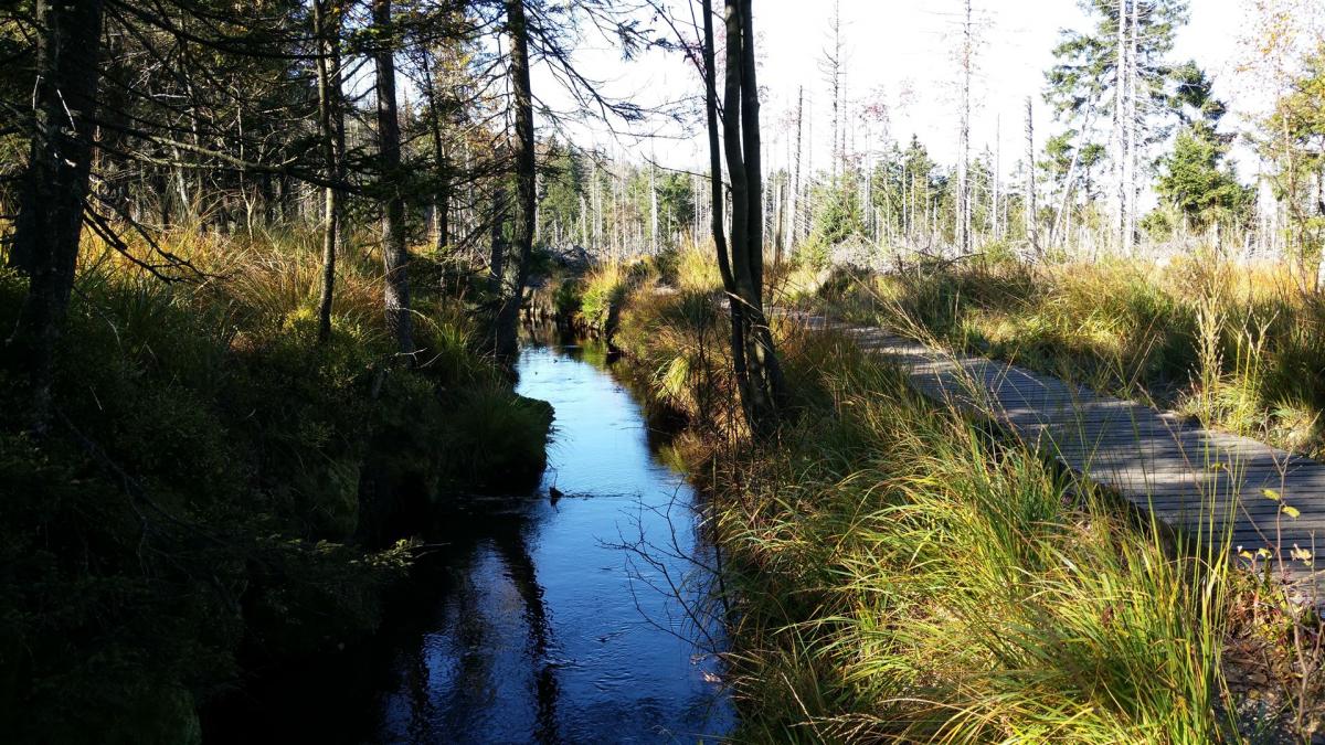 Abbegraben, Oberharzer Wasserwirtschaft