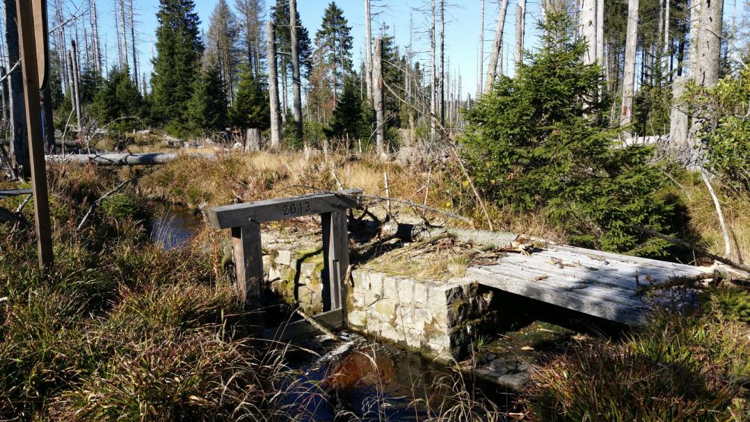 Fehlschlag 1 um 2015. Foto von Robert Pake.