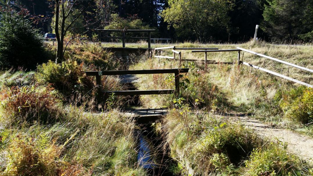 Abbegraben, Unterquerung der B4 im Jahr 2015. Oberharzer Wasserwirtschaft.